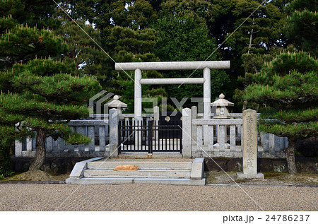 京都　長慶天皇陵（2016.4） 24786237