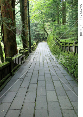 榛名神社の参道 24786245
