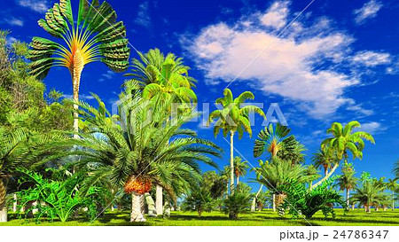 Tropical jungle during a day 3d rendering Tropical jungle during a day 3d rendering 24786347