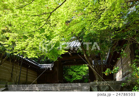 法輪寺 山門(2016.4) 法輪寺 山門(2016.4) 24786503