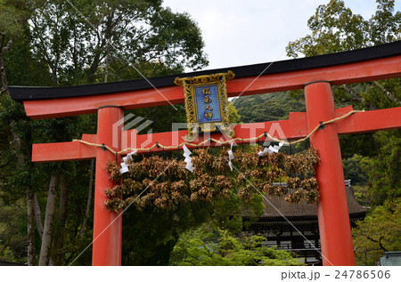 松尾大社　鳥居（2016.4） 24786506