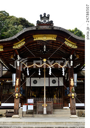 松尾大社 社殿(2016.4) 松尾大社 社殿(2016.4) 24786507