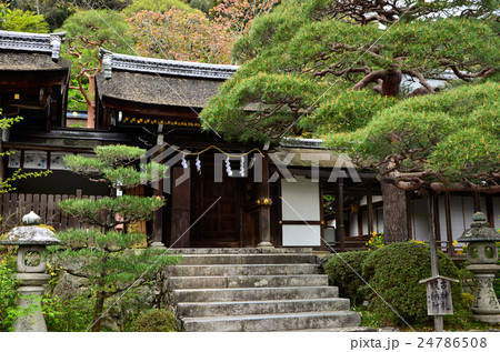 松尾大社（2016.4） 24786508