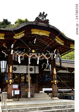 松尾大社　社殿（2016.4） 24786509