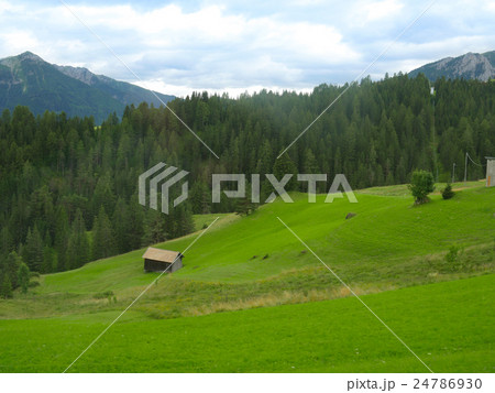 landscape of the Alps landscape of the Alps 24786930