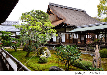 大覚寺門跡 正寝殿(2016.4) 大覚寺門跡 正寝殿(2016.4) 24787195