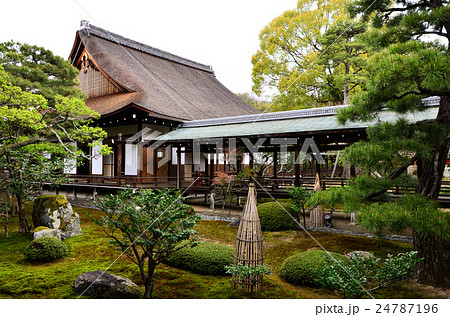 大覚寺門跡 正寝殿(2016.4) 大覚寺門跡 正寝殿(2016.4) 24787196