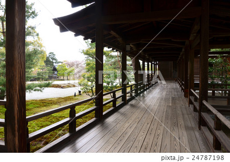 大覚寺門跡　村雨の廊下（2016.4） 24787198