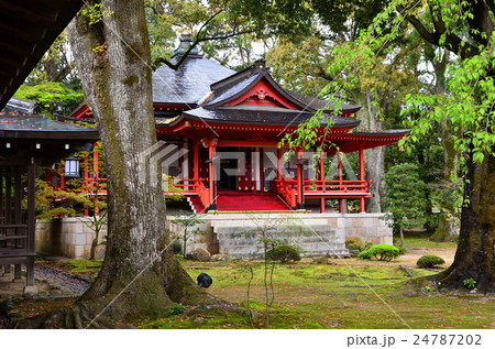 大覚寺門跡 霊明殿(2016.4) 大覚寺門跡 霊明殿(2016.4) 24787202