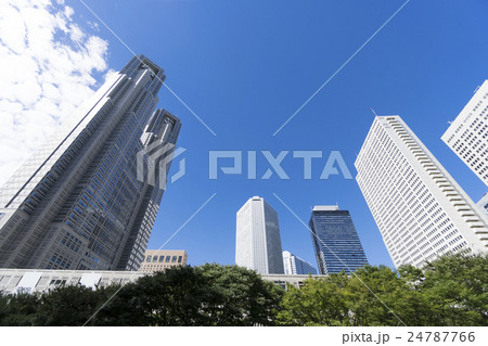 東京都庁と新宿高層ビル群　快晴　青空　緑　コピースペース 24787766