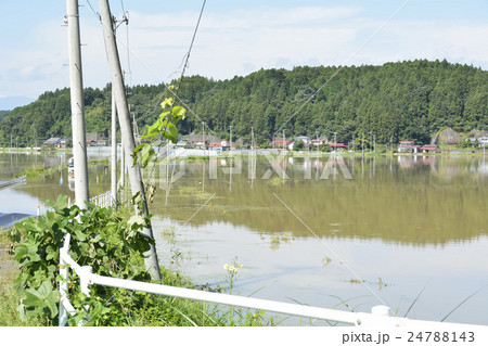 洪水、冠水イメージ 24788143