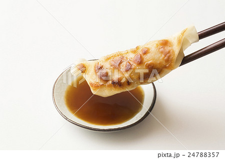 餃子 24788357