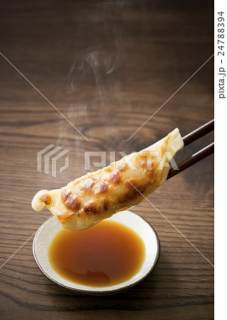 餃子 餃子 24788394