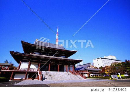 大本山　増上寺　大殿 （ 本堂 ）　東京都 港区 芝公園 24788405