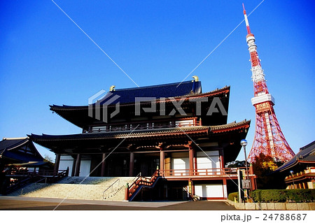 大本山　増上寺　大殿 （ 本堂 ） ＆ 東京タワー　（ 東京都 港区 芝公園 ） 24788687