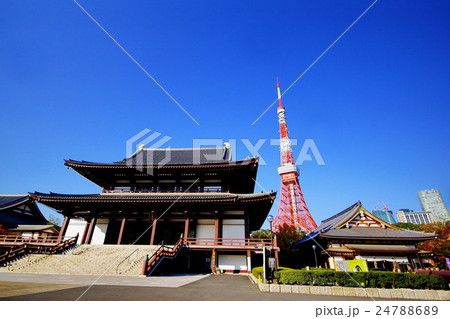 大本山　増上寺　大殿（本堂） ＆ 東京タワー　（ 東京都 港区 芝公園 ） 24788689