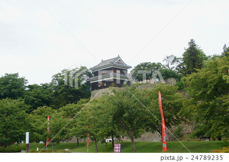 上田城跡公園と上田城 24789235