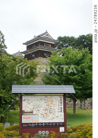 上田城跡公園と上田城 上田城跡公園と上田城 24789236
