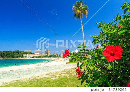 白浜　白良浜 24789265