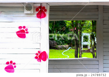 pink cat footprint on the wall in the house pink cat footprint on the wall in the house 24789732