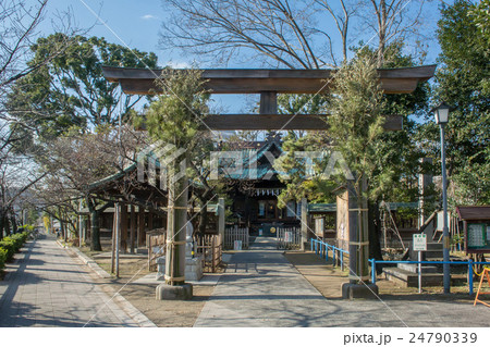 東京都品川区北品川の荏原神社 24790339