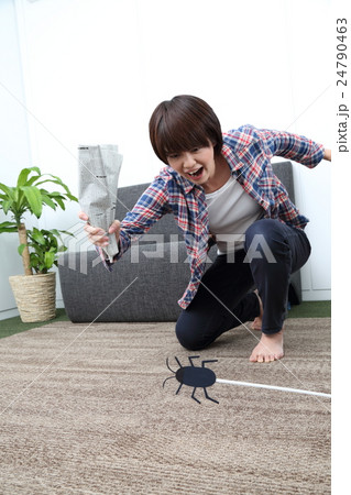 害虫退治　ゴキブリ　虫　女性 24790463