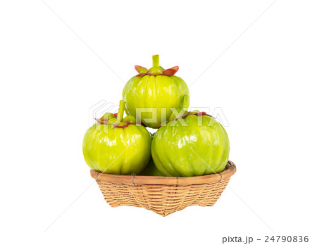 Garcinia cambogia fresh fruit, isolated on white.  24790836