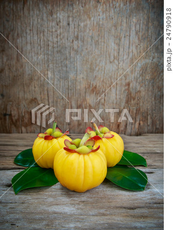 Garcinia cambogia fresh fruit, isolated on white. Garcinia cambogia fresh fruit, isolated on white. 24790918