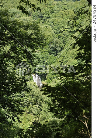 千ヶ滝・滝見の丘からの眺め（山梨県） 24794584