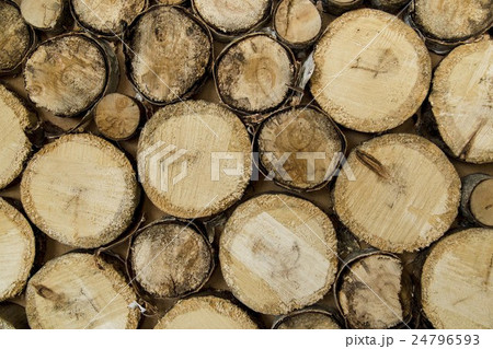 end of old logs, decor  wall 24796593
