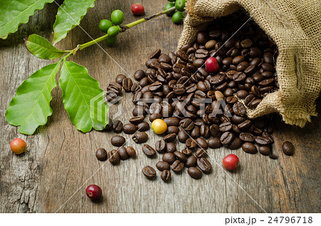 Roasted coffee beans in burlap sack  24796718