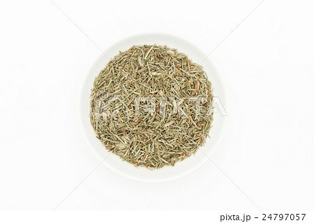 ホーステール(スギナ): Horsetail (Shavegrass) ホーステール(スギナ): Horsetail (Shavegrass) 24797057