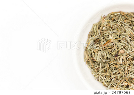 ホーステール(スギナ): Horsetail (Shavegrass) ホーステール(スギナ): Horsetail (Shavegrass) 24797063
