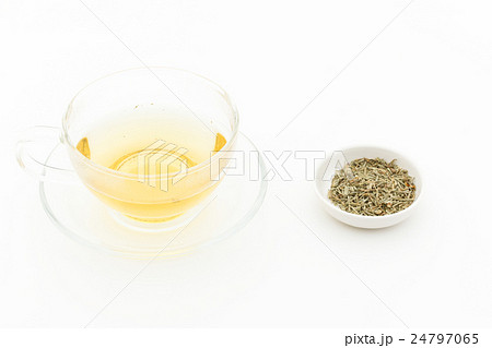 ホーステール(スギナ)ティー: Horsetail Tea (Shavegrass) ホーステール(スギナ)ティー: Horsetail Tea (Shavegrass) 24797065