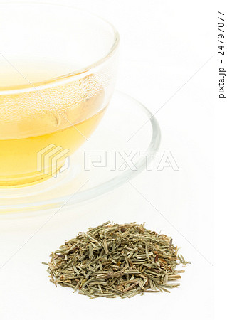 ホーステール(スギナ)ティー: Horsetail Tea (Shavegrass) ホーステール(スギナ)ティー: Horsetail Tea (Shavegrass) 24797077