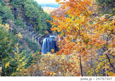 秋の善五郎滝遠景 秋の善五郎滝遠景 24797307
