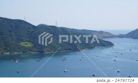 鳴門ウチノ海 24797724