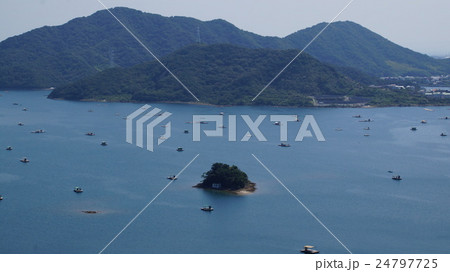 ウチノ海と無数の筏 24797725