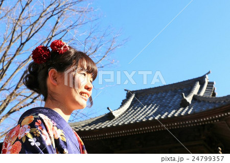 成人の日　女性　着物 24799357