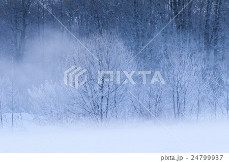 冬の風景 24799937