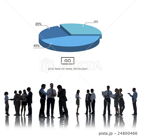 Pie Graph Analysis Statistics Report Concept Pie Graph Analysis Statistics Report Concept 24800466