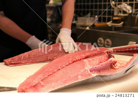 キハダマグロを捌く キハダマグロを捌く 24813271