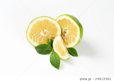 green grapefruit halves green grapefruit halves 24813362