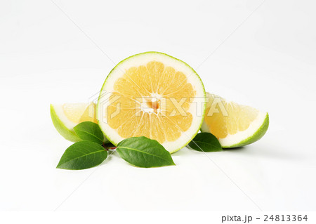 green grapefruit half and slices 24813364