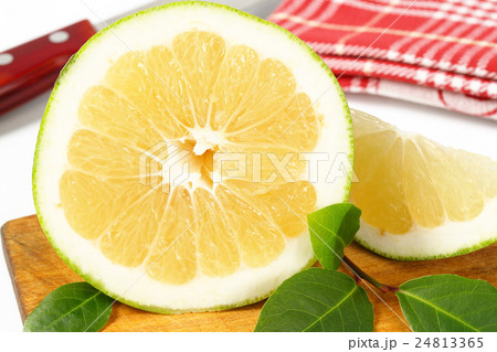 green grapefruit half and slice 24813365