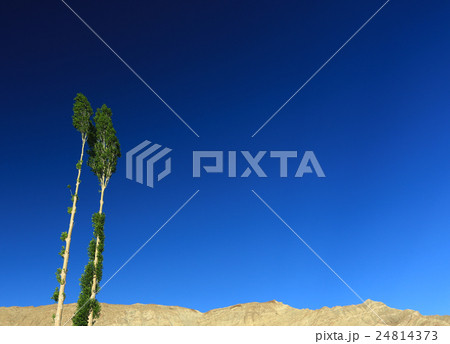 talltree moutain and sky  from lehcity 24814373