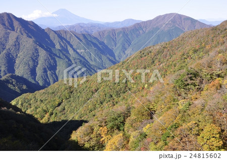 秋の丹沢山地と富士山 秋の丹沢山地と富士山 24815602