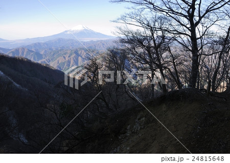 晩秋の朝 檜洞丸より富士山 24815648
