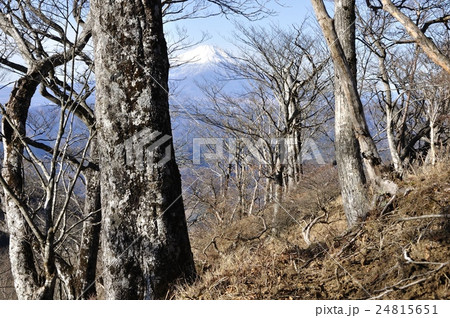 晩秋の富士山 24815651