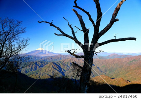 西丹沢・檜洞丸から見る富士山と紅葉の山並み 西丹沢・檜洞丸から見る富士山と紅葉の山並み 24817460